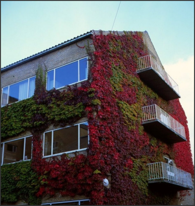 丹麦奥尔胡斯大学