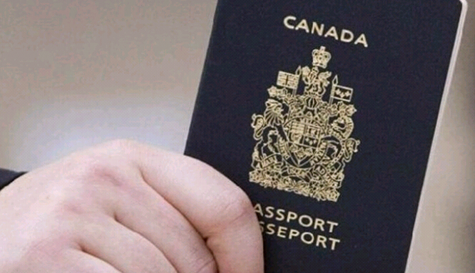 加拿大留学护照