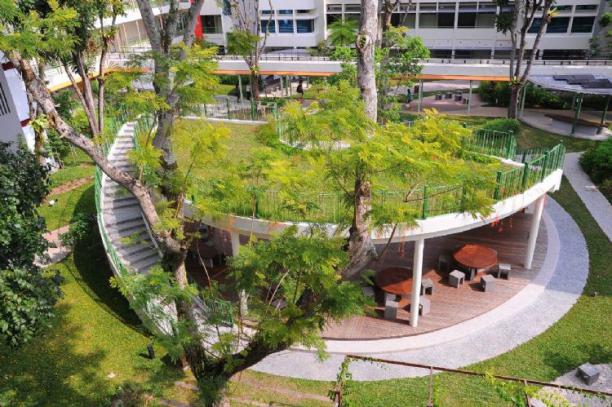 新加坡理工學院為啥這麽受歡迎？