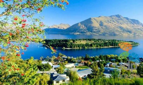 2017去新西蘭留學需要什么條件